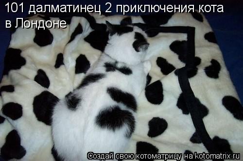 101 далматинец 2 приключения кота в Лондоне... Котоматрица: 101 далматинец 2 приключения кота в Лондоне
