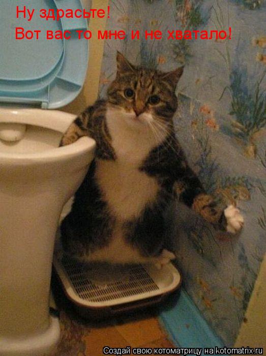 Ну здрасьте! Вот вас то мне и не хватало!... Котоматрица: Ну здрасьте! Вот вас то мне и не хватало!