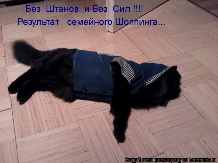 Без Штанов и Без Сил !!!! Результат семейного Шоппинга...... Котоматрица: Без Штанов и Без Сил !!!! Результат семейного Шоппинга...