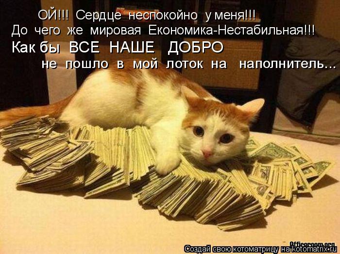 ОЙ!!! Сердце неспокойно у меня!!! До чего же мировая Економика-Нестабильная!!! Как бы ВСЕ НА... Котоматрица: ОЙ!!! Сердце неспокойно у меня!!! До чего же мировая Економика-Нестабильная!!! Как бы ВСЕ НАШЕ ДОБРО не пошло в мой лоток на напол