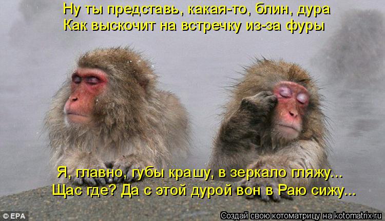 Ну ты представь, какая-то, блин, дура Как выскочит на встречку из-за фуры Я, главно, губы крашу, в зе... Котоматрица: Ну ты представь, какая-то, блин, дура Как выскочит на встречку из-за фуры Я, главно, губы крашу, в зеркало гляжу... Щас где? Да с этой дурой вон в