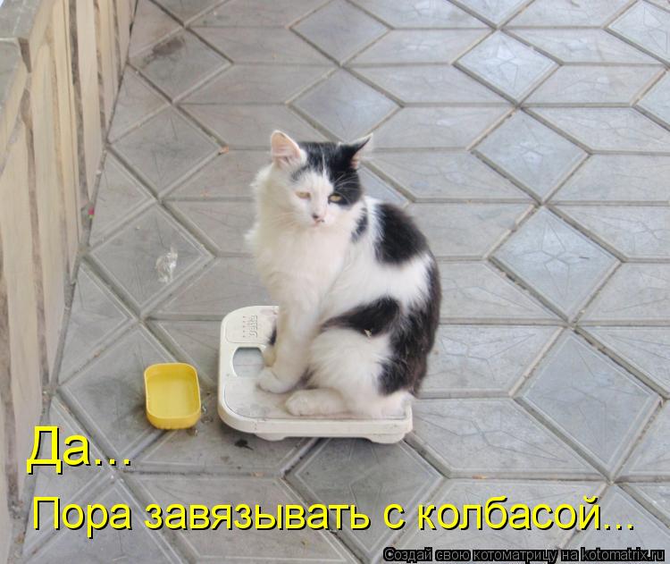 Пора завязывать с колбасой... Да...... Котоматрица: Пора завязывать с колбасой... Да...