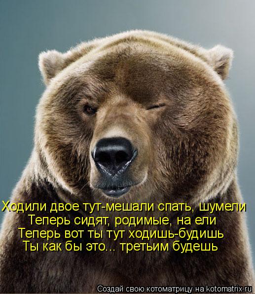 Ходили двое тут-мешали спать, шумели Теперь сидят, родимые, на ели Теперь вот ты тут ходишь-будишь Ты... Котоматрица: Ходили двое тут-мешали спать, шумели Теперь сидят, родимые, на ели Теперь вот ты тут ходишь-будишь Ты как бы это... третьим будешь