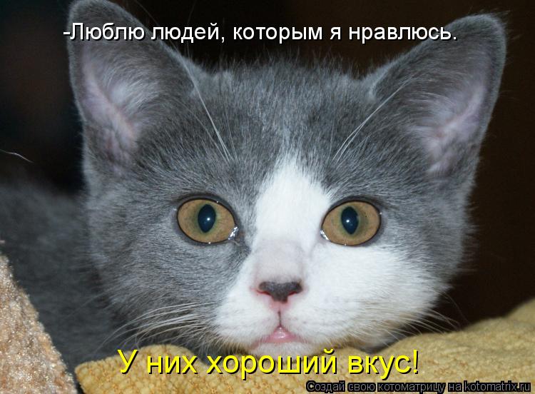 -Люблю людей, которым я нравлюсь. У них хороший вкус!... Котоматрица: -Люблю людей, которым я нравлюсь. У них хороший вкус!