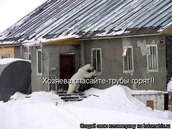 Котоматрица: Хозяева,спасайте-трубы горят!!