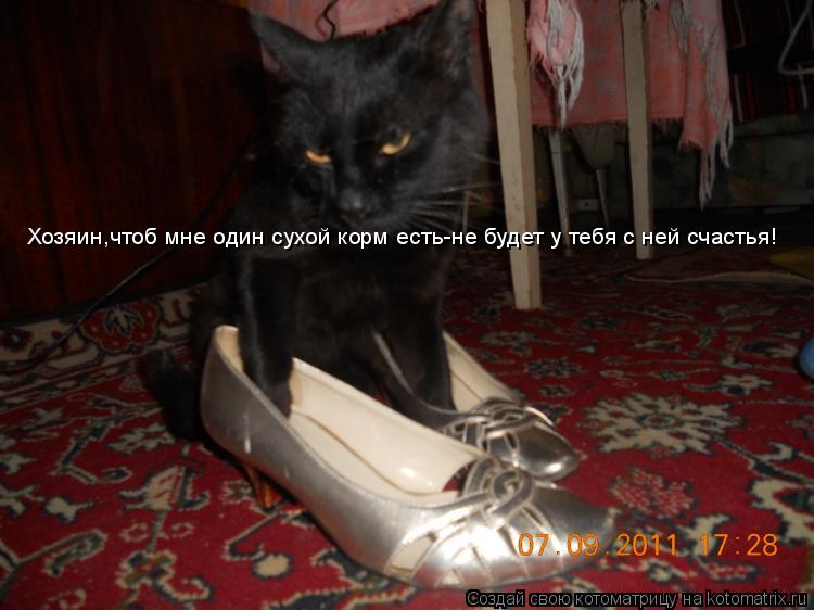 Котоматрица: Хозяин,чтоб мне один сухой корм есть-не будет у тебя с ней счастья!