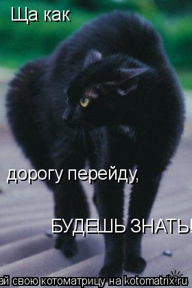 Котоматрица: Ща как дорогу перейду, БУДЕШЬ ЗНАТЬ!