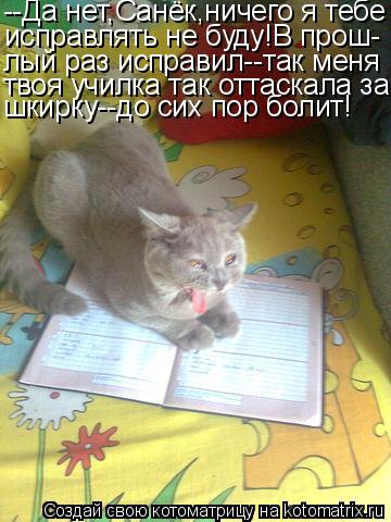 Котоматрица: --Да нет,Санёк,ничего я тебе исправлять не буду!В прош- лый раз исправил--так меня твоя училка так оттаскала за шкирку--до сих пор болит!
