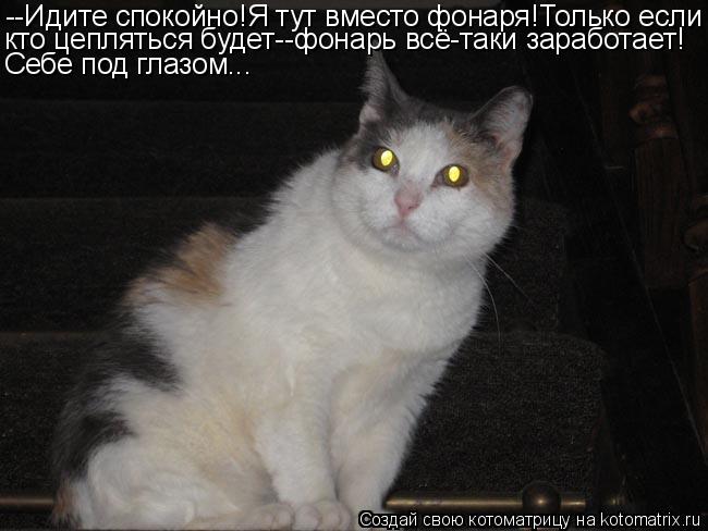Котоматрица: --Идите спокойно!Я тут вместо фонаря!Только если кто цепляться будет--фонарь всё-таки заработает! Себе под глазом...