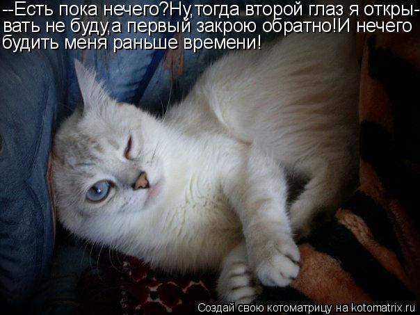 Котоматрица: --Есть пока нечего?Ну,тогда второй глаз я откры- вать не буду,а первый закрою обратно!И нечего будить меня раньше времени!