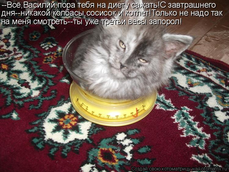 Котоматрица: --Всё,Василий,пора тебя на диету сажать!С завтрашнего дня--никакой колбасы,сосисок и котлет!Только не надо так на меня смотреть--ты уже треть