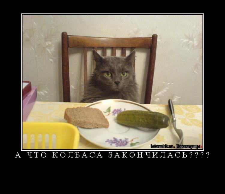 А что колбаса закончилась???? ... Котоматрица: А что колбаса закончилась????