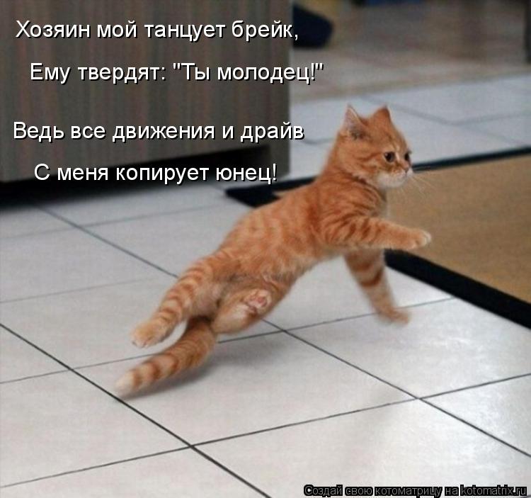 Котоматрица: Хозяин мой танцует брейк, Ведь все движения и драйв С меня копирует юнец! Ему твердят: "Ты молодец!"