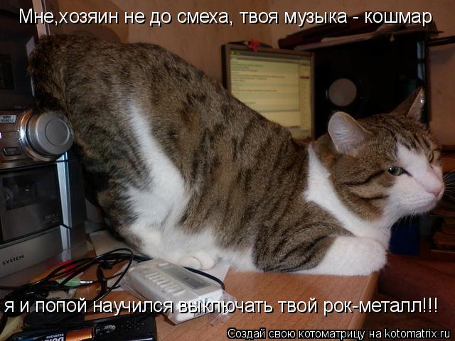 Котоматрица: Мне,хозяин не до смеха, твоя музыка - кошмар я и попой научился выключать твой рок-металл!!!