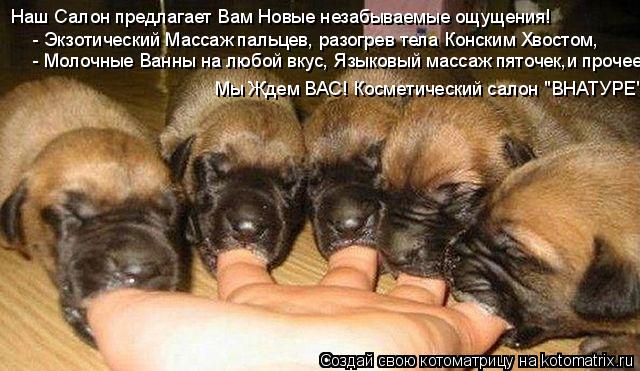 Котоматрица: Наш Салон предлагает Вам Новые незабываемые ощущения! - Экзотический Массаж пальцев, разогрев тела Конским Хвостом, - Молочные Ванны на люб