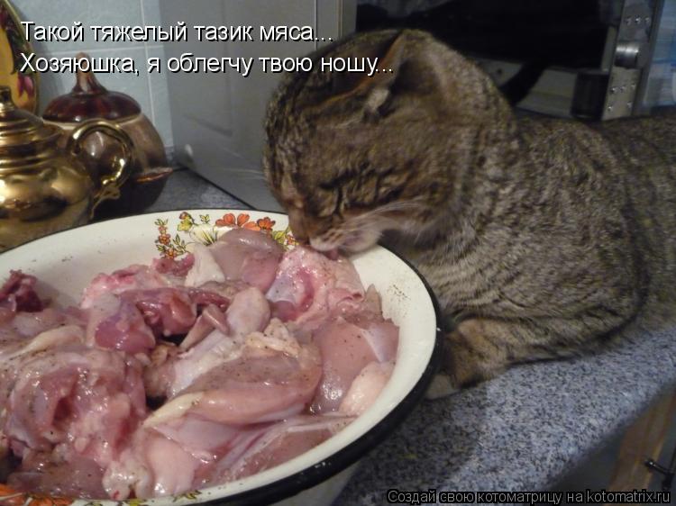 Котоматрица: Такой тяжелый тазик мяса... Хозяюшка, я облегчу твою ношу...