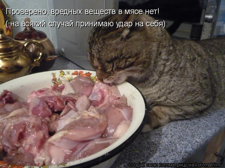 Котоматрица: Проверено, вредных веществ в мясе нет! ( на всякий случай принимаю удар на себя)