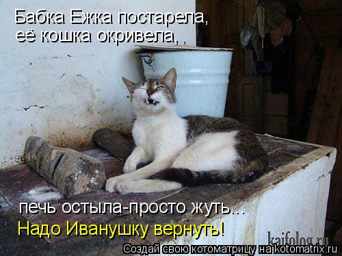 Бабка Ежка постарела, её кошка окривела, печь остыла-просто жуть... Надо Иванушку вернуть!... Котоматрица: Бабка Ежка постарела, её кошка окривела, печь остыла-просто жуть... Надо Иванушку вернуть!