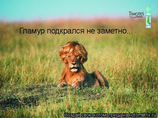 Котоматрица: Гламур подкрался не заметно...
