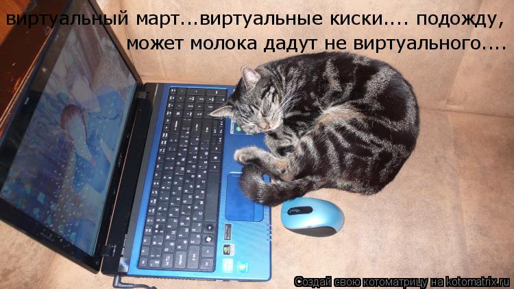 Котоматрица: виртуальный март...виртуальные киски.... подожду,  может молока дадут не виртуального....