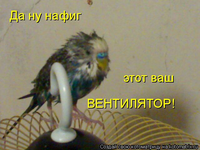 Котоматрица: Да ну нафиг этот ваш ВЕНТИЛЯТОР!