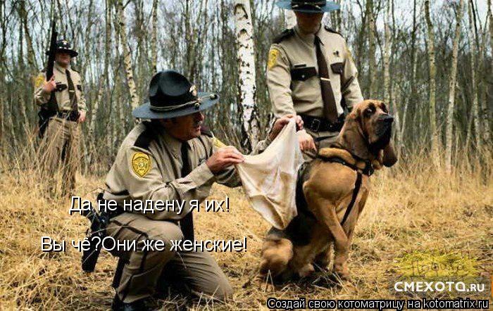 Котоматрица: Да не надену я их! Вы чё?Они же женские!