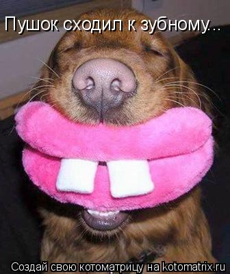 Котоматрица: Пушок сходил к зубному...