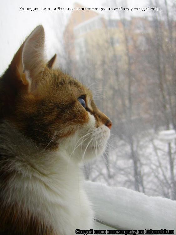Котоматрица: Хоолодно..зима...и Васенька жалеет теперь,что колбасу у соседей спёр...