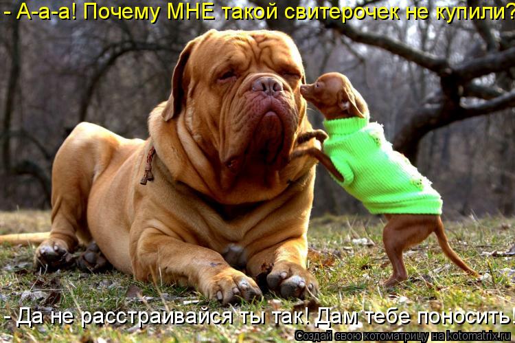 Котоматрица: - А-а-а! Почему МНЕ такой свитерочек не купили? - Да не расстраивайся ты так! Дам тебе поносить!