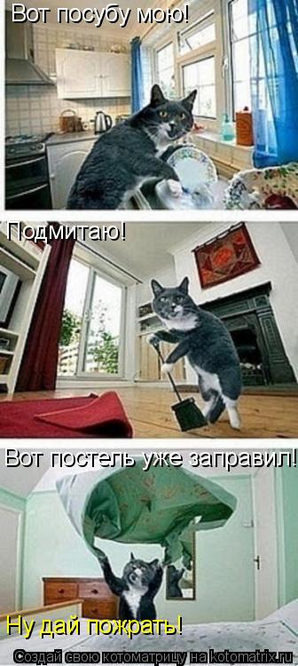 Котоматрица: Вот посубу мою! Подмитаю! Вот постель уже заправил! Ну дай пожрать!