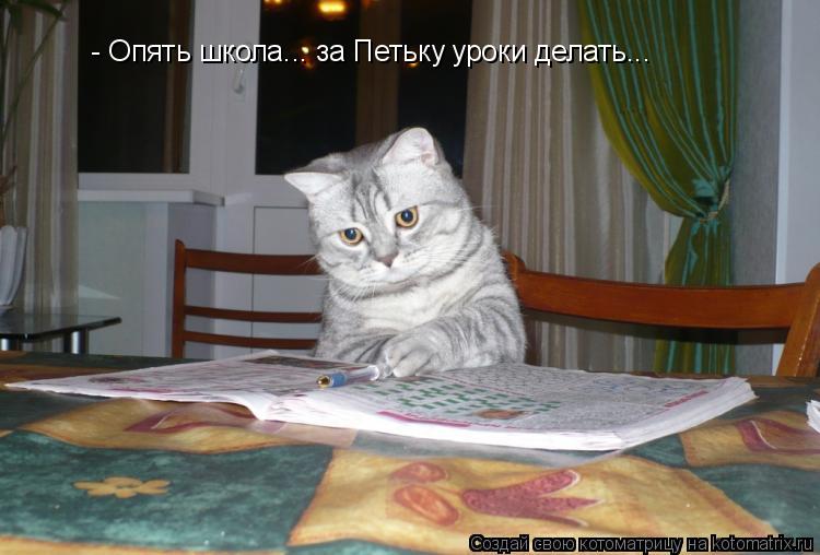 Котоматрица: - Опять школа... за Петьку уроки делать...