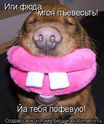 Котоматрица: Иги фюда,  мгоя пъевесьть!  Йа тебя пофевую!