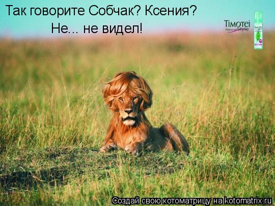 Так говорите Собчак? Ксения? Не... не видел!... Котоматрица: Так говорите Собчак? Ксения? Не... не видел!