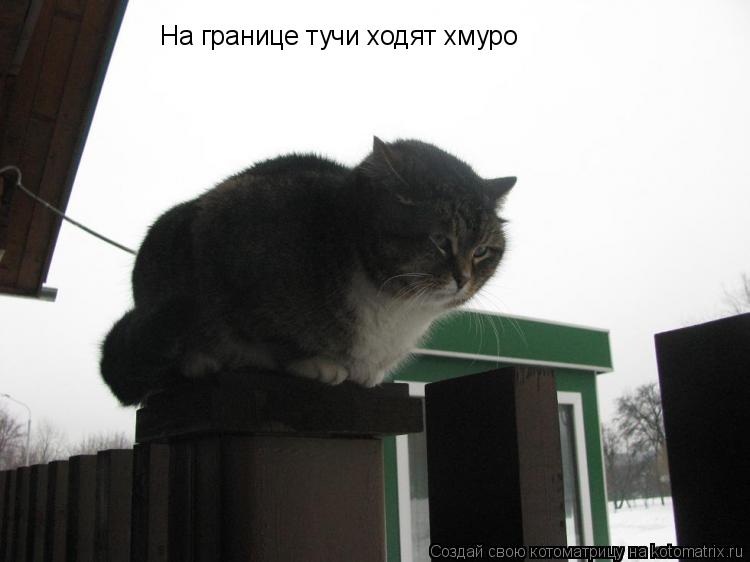 Котоматрица: На границе тучи ходят хмуро