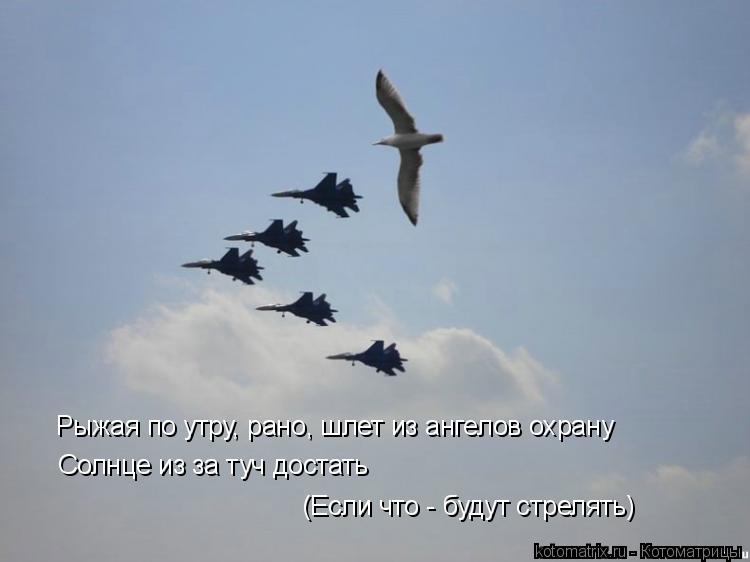 Котоматрица: Солнце из за туч достать (Если что - будут стрелять) Рыжая по утру, рано, шлет из ангелов охрану