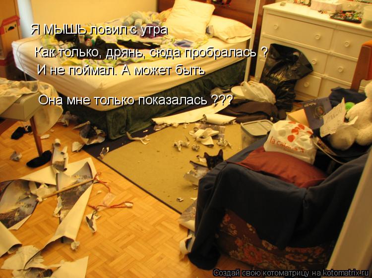 Котоматрица: Я МЫШЬ ловил с утра И не поймал. А может быть Она мне только показалась ??? Как только, дрянь, сюда пробралась ?