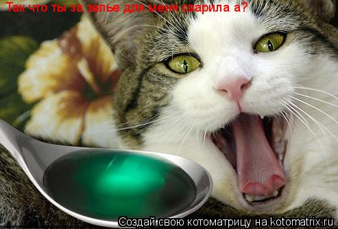 Котоматрица: Так что ты за зелье для меня сварила а?