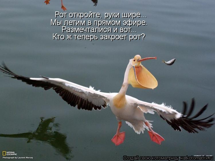 Котоматрица: Рот откройте, руки шире... Мы летим в прямом эфире. Размечталися и вот... Кто ж теперь закроет рот?