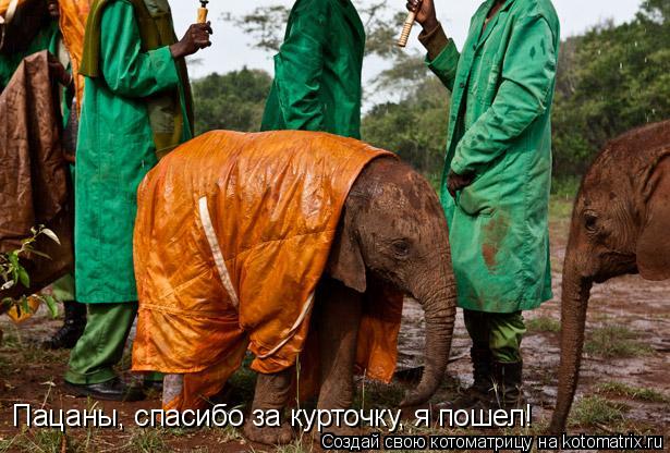 Котоматрица: Пацаны, спасибо за курточку, я пошел!