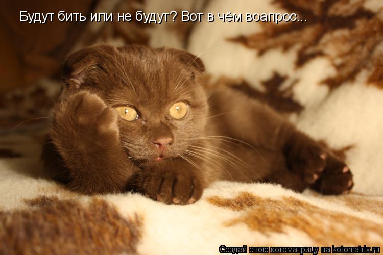 Котоматрица: Будут бить или не будут? Вот в чём воапрос...