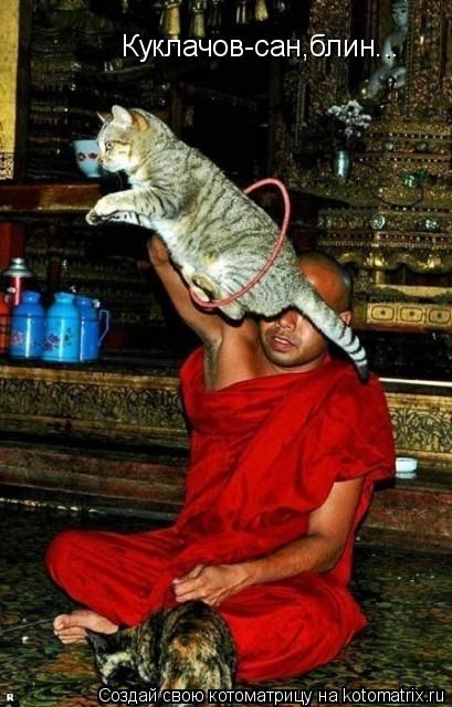 Котоматрица: Куклачов-сан,блин...