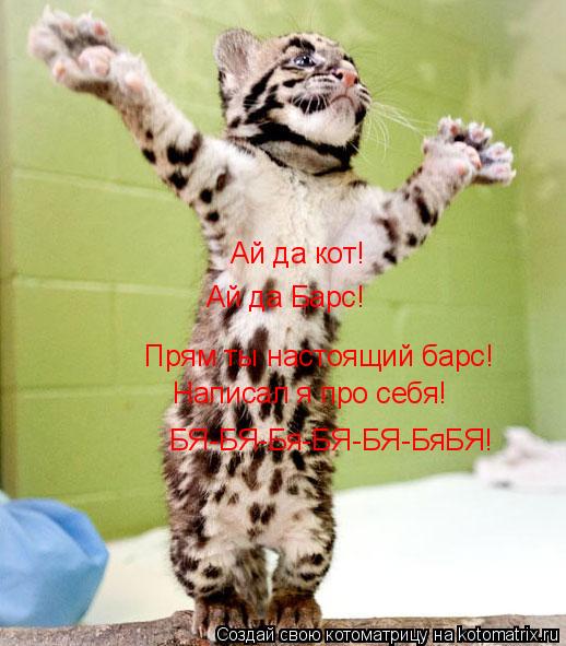 Котоматрица: Ай да кот! Ай да Барс! Прям ты настоящий барс! Написал я про себя! БЯ-БЯ-Бя-БЯ-БЯ-БяБЯ!
