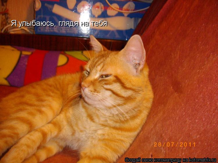 Котоматрица: Я улыбаюсь, глядя на тебя