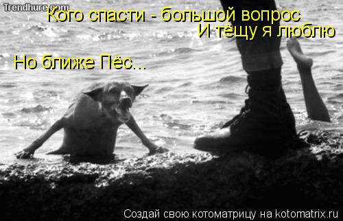 Котоматрица: Кого спасти - большой вопрос И тёщу я люблю Но ближе Пёс...
