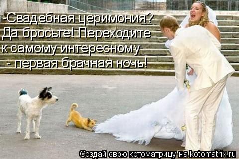 Котоматрица: -Свадебная церимония?  Да бросьте! Переходите  к самому интересному  - первая брачная ночь!
