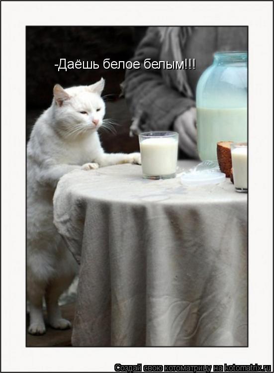 Котоматрица: -Даёшь белое белым!!!