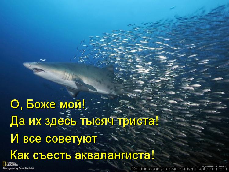 О, Боже мой! Да их здесь тысяч триста! И все советуют Как съесть аквалангиста!... Котоматрица: О, Боже мой! Да их здесь тысяч триста! И все советуют Как съесть аквалангиста!