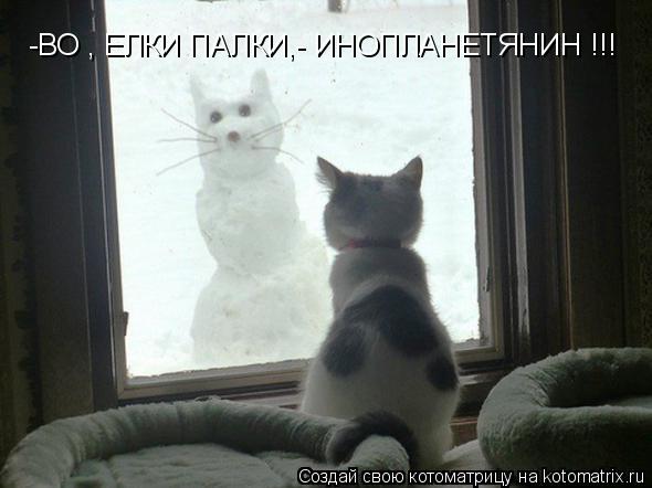 Котоматрица: -ВО , ЕЛКИ ПАЛКИ,- ИНОПЛАНЕТЯНИН !!!