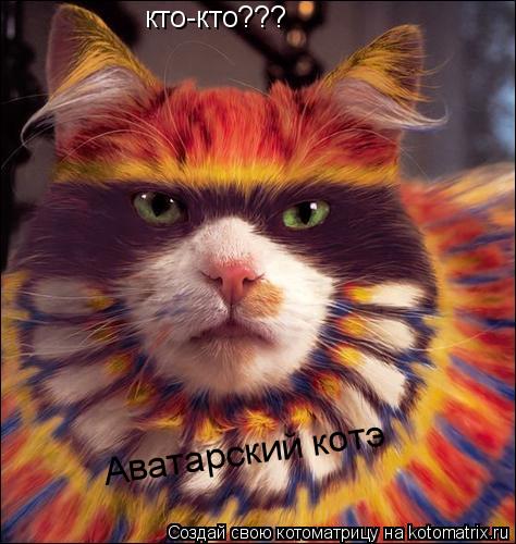 Котоматрица: кто-кто??? Аватарский котэ