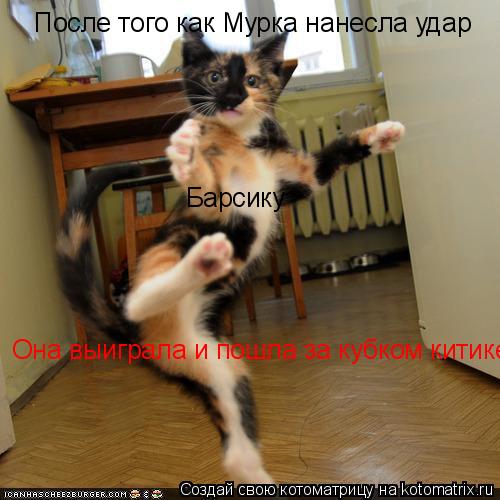 Котоматрица: После того как Мурка нанесла удар  Барсику Она выиграла и пошла за кубком китикета